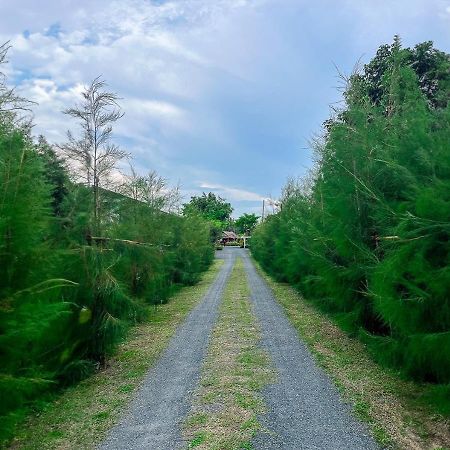 North Pine Forest Homestay บ้านไม้สนโฮมสเตย์ Ban Mae Pong Eksteriør billede