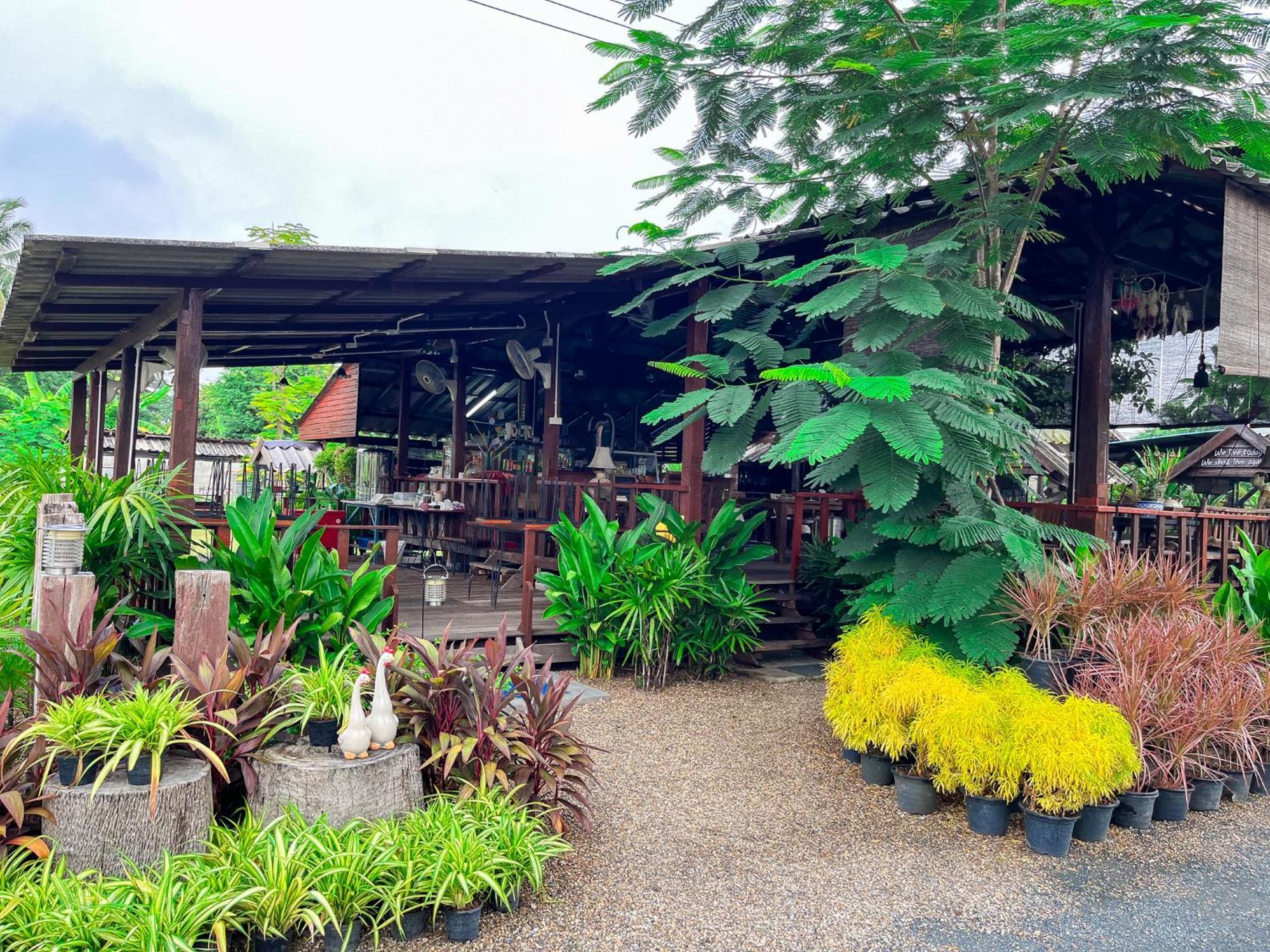 North Pine Forest Homestay บ้านไม้สนโฮมสเตย์ Ban Mae Pong Eksteriør billede