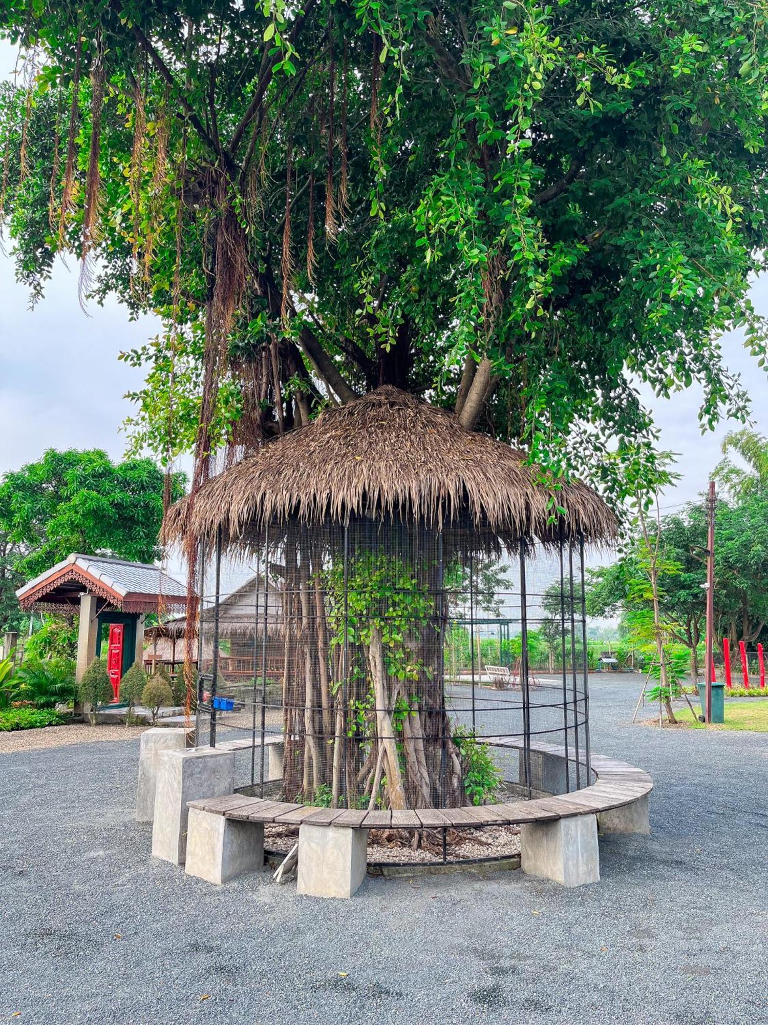 North Pine Forest Homestay บ้านไม้สนโฮมสเตย์ Ban Mae Pong Eksteriør billede