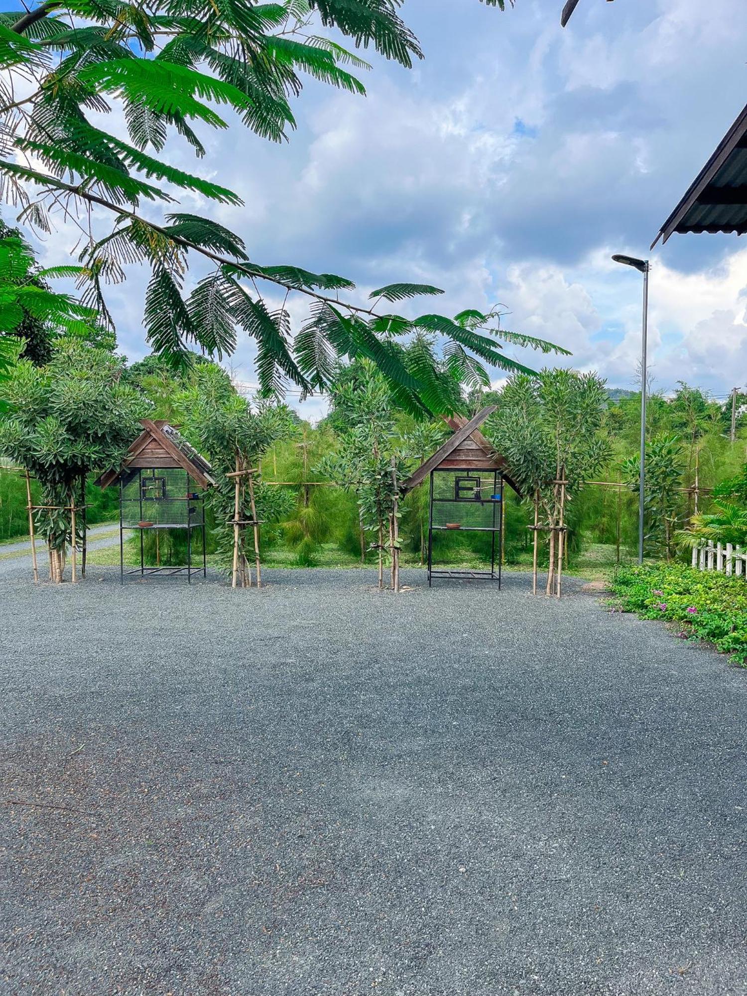 North Pine Forest Homestay บ้านไม้สนโฮมสเตย์ Ban Mae Pong Eksteriør billede