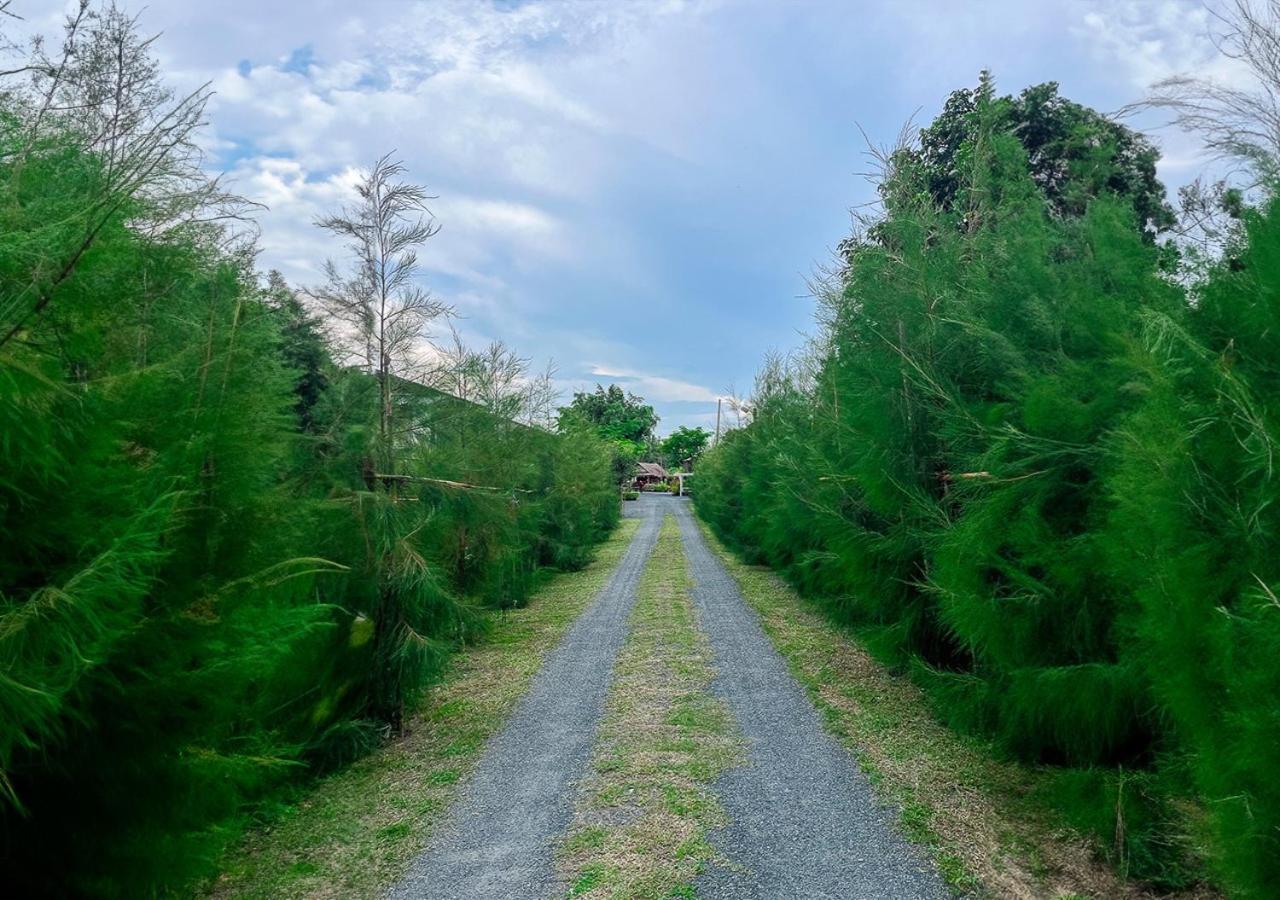 North Pine Forest Homestay บ้านไม้สนโฮมสเตย์ Ban Mae Pong Eksteriør billede