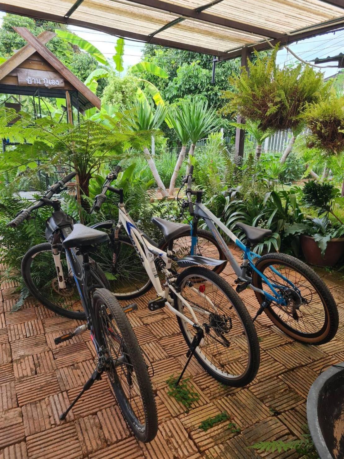 North Pine Forest Homestay บ้านไม้สนโฮมสเตย์ Ban Mae Pong Eksteriør billede